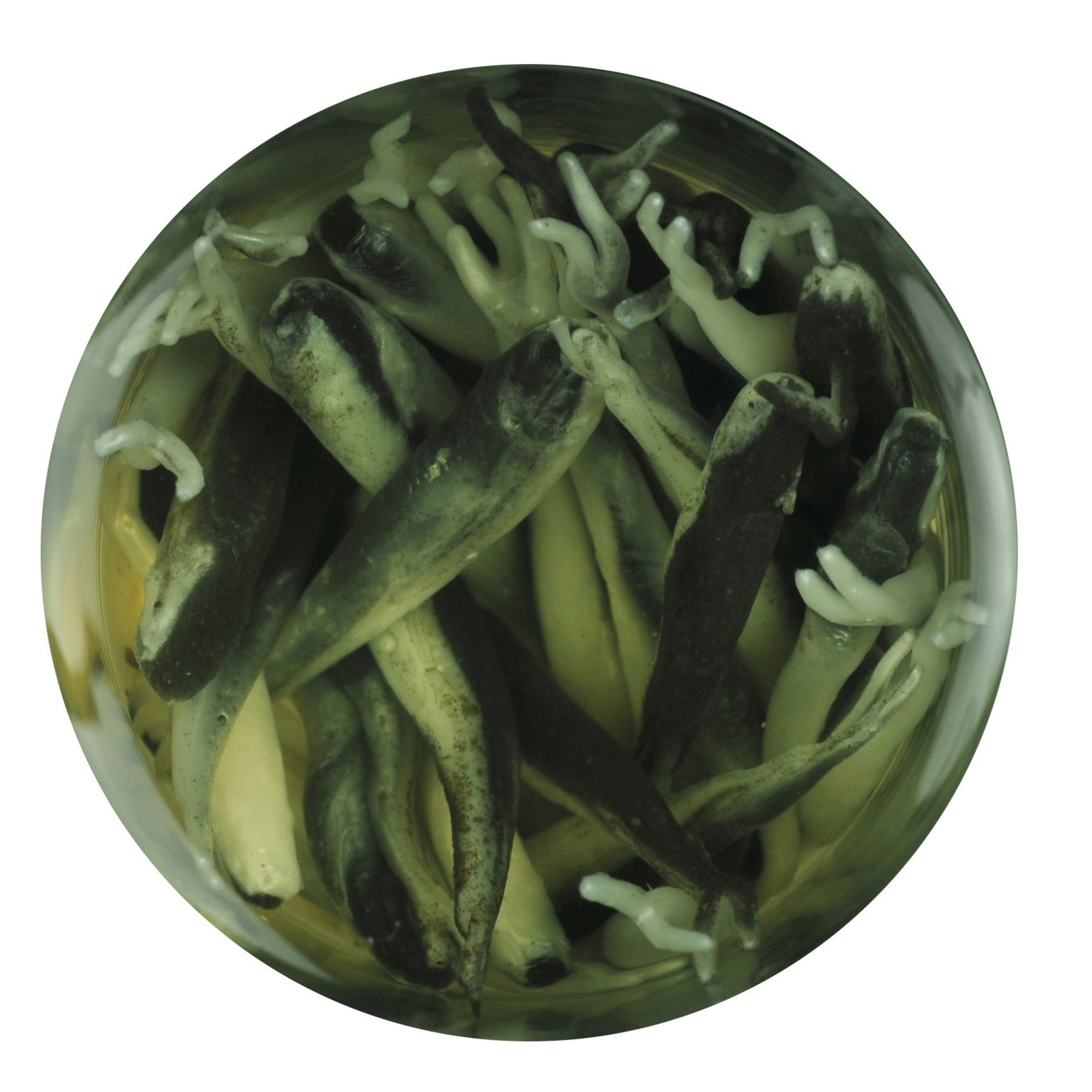 Alive! Minnow Fishing Soft Bait