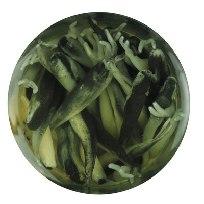 Alive! Minnow Fishing Soft Bait
